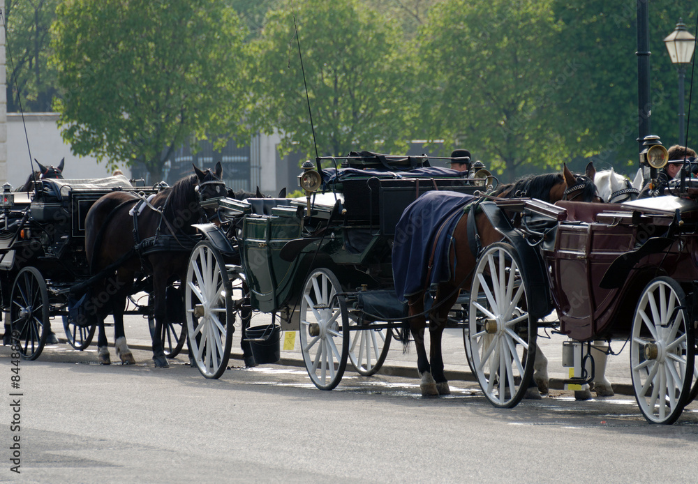 Fototapeta premium CALECHES IN VIENNA (AUSTRIA)
