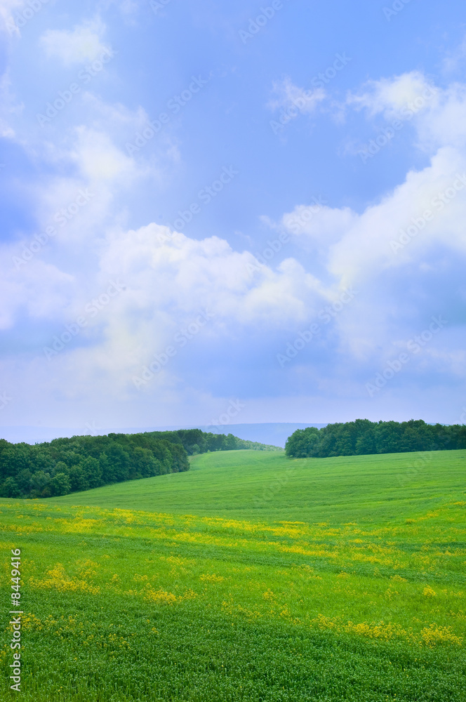 Summer landscape with blue sky