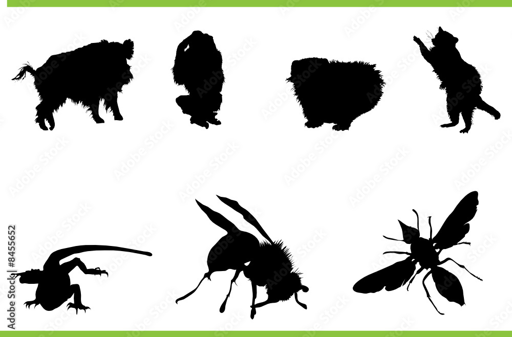 Vector animals collection Vector animals collection