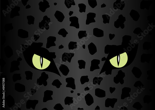 Skin and eye of the jaguar.Vector.