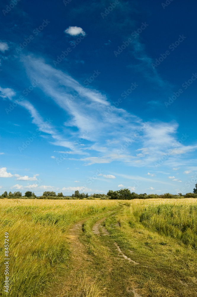 Non urban scene with country road