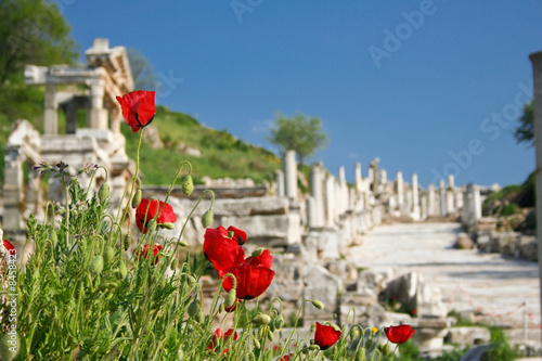 Poppies in the street an ancient Efes