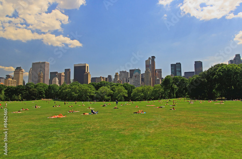 The Great Lawn in Central Park photo