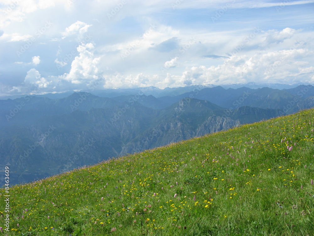 Bergwiese am Monte Baldo Bergwiese am Monte Baldo