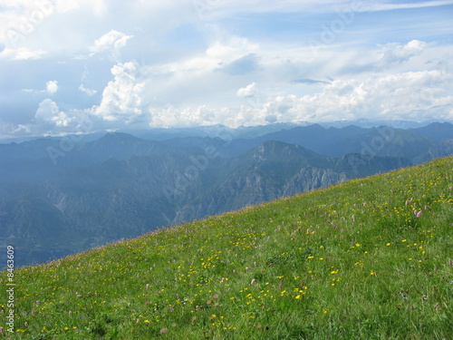 Bergwiese am Monte Baldo