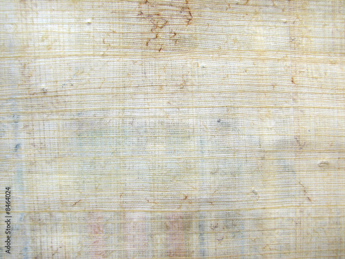 egypt papyrus paper with texture photo