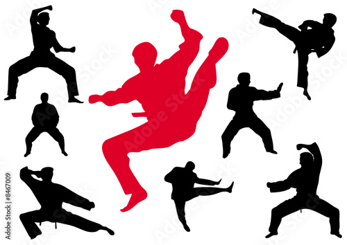 Karate kungfu