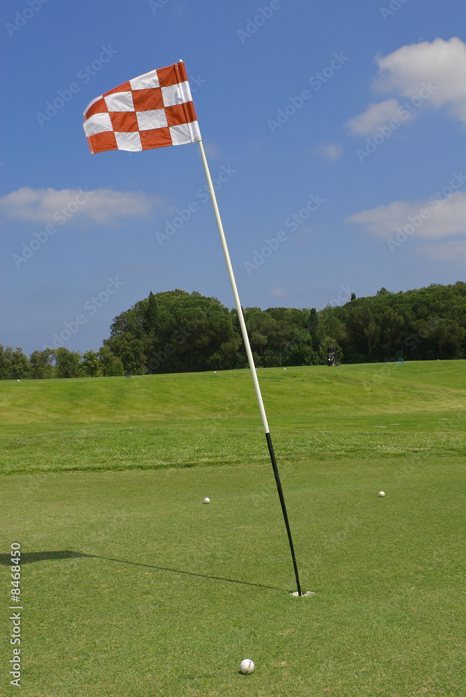 Obraz premium golf course