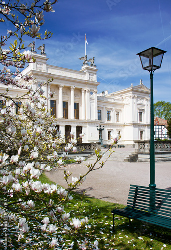 Spring university
