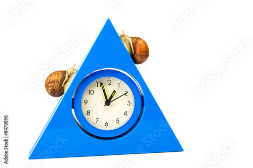 snails on the clock