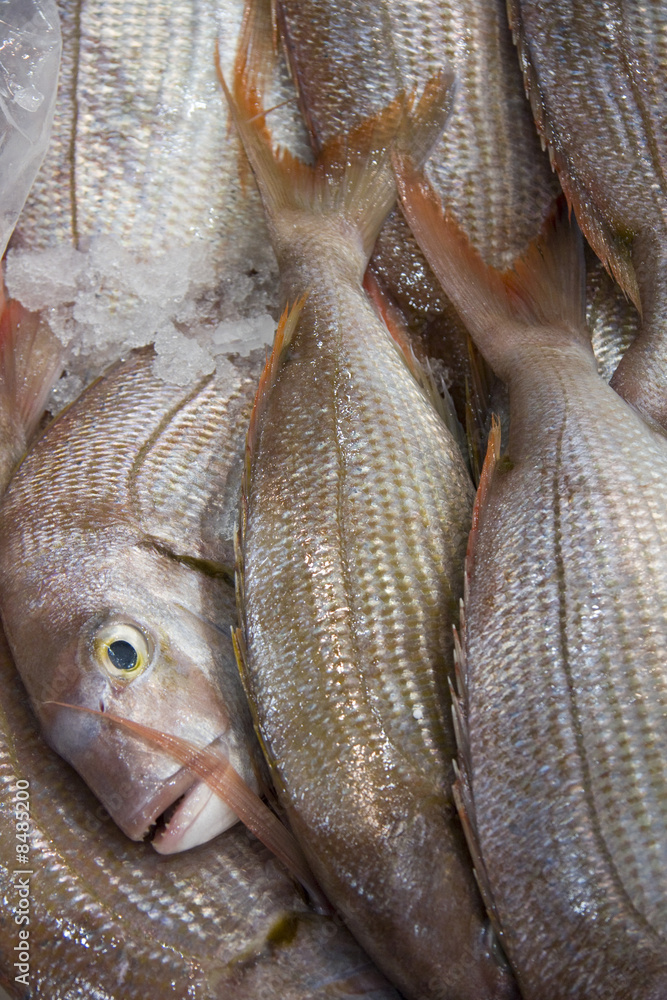 poissons Stock Photo | Adobe Stock