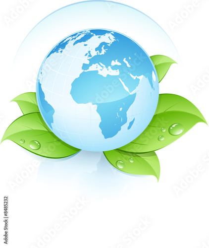 planète terre bleue sur lit de feuilles