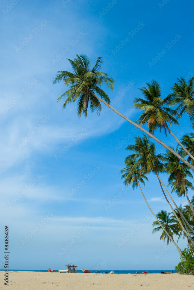 Tropical sunny beach