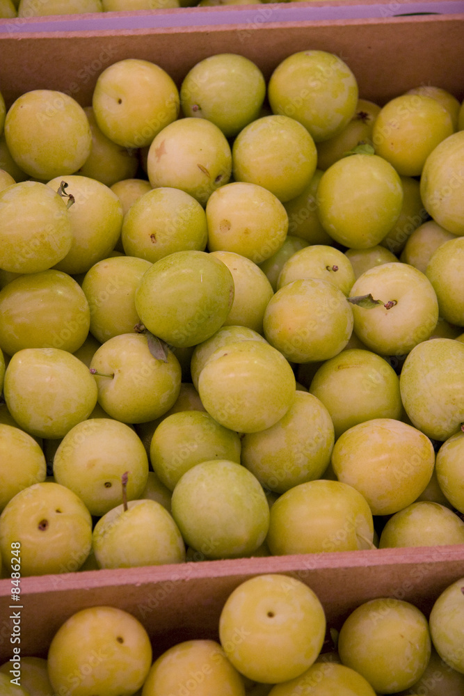 prunes prunes