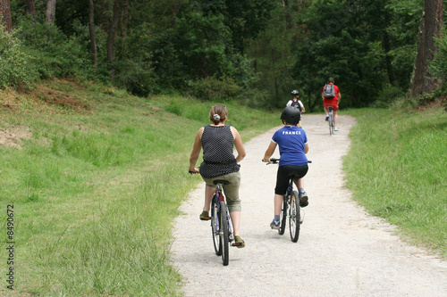 balade en forêt à vélo
