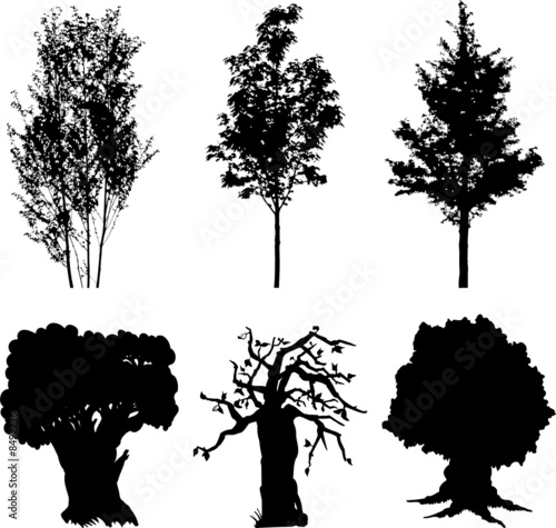 Set isolated trees. Silhouettes