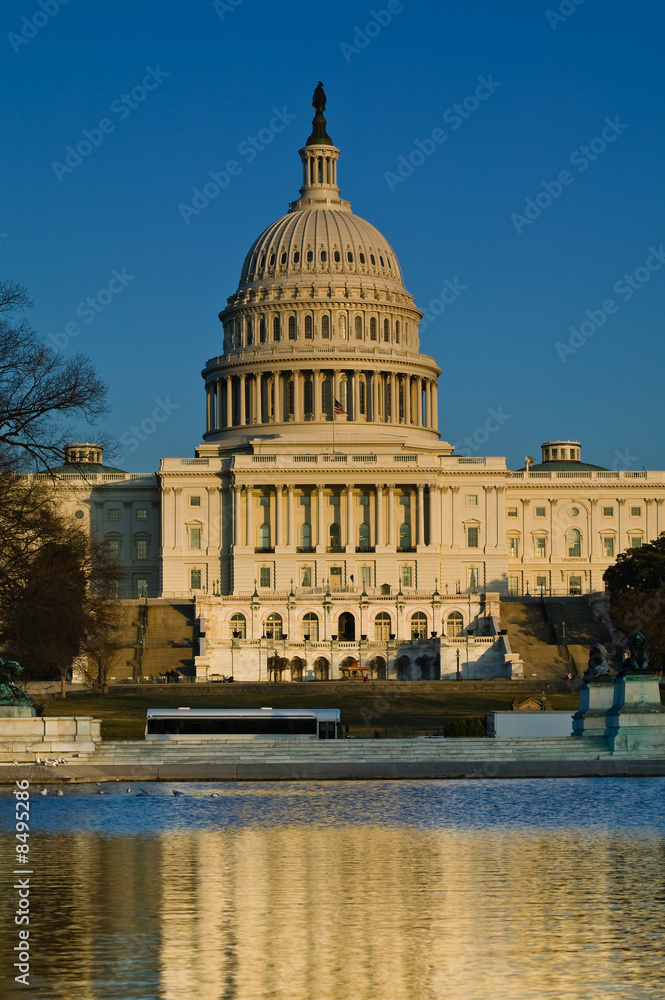 Fototapeta premium US Capitol Building in the late afternoon