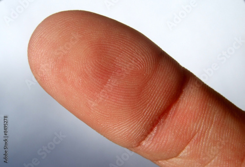 Fingerprint