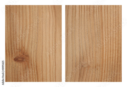 Larch Tree Texture