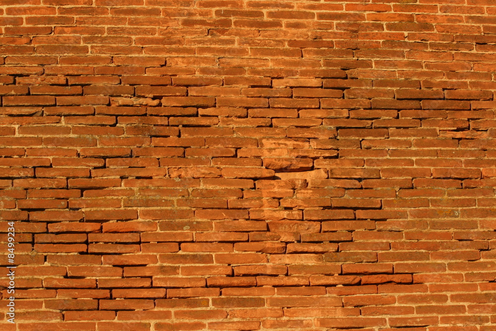 Fototapeta premium mur ville rose