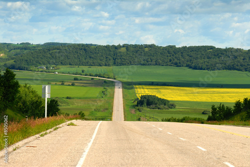 Beautiful Summer Valley Road