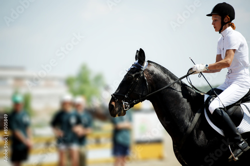 Cuadro en lienzo derby