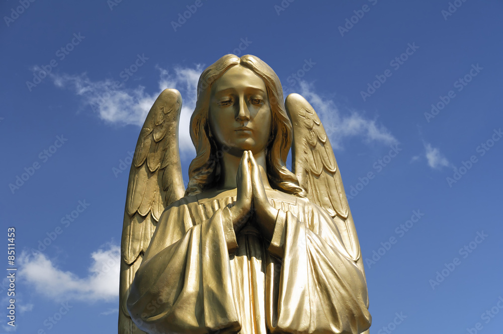 Fototapeta premium Angel