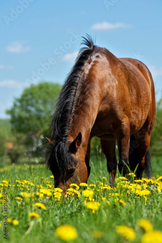 Frühling