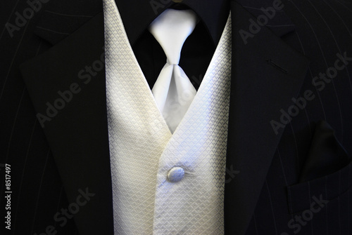 Black Tuxedo White Tie and Vest