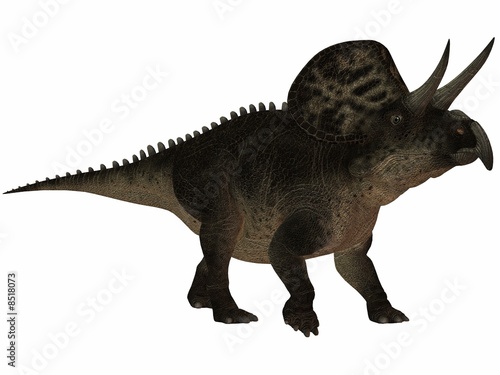 Zuniceratops-3D Dinosaurier © Andreas Meyer