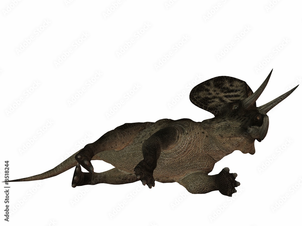 Zuniceratops-3D Dinosaurier