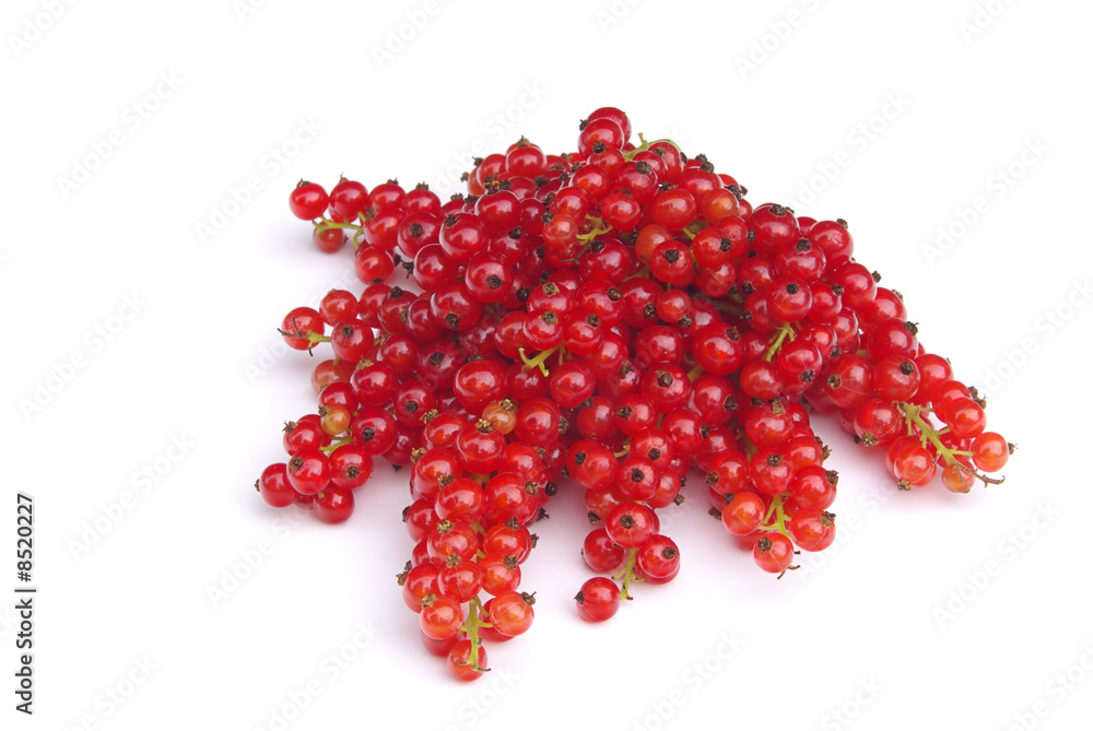 Johannisbeere - currant 12 Johannisbeere - currant 12