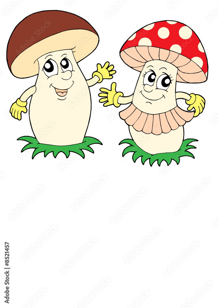 Fototapeta premium Mushroom and toadstool vector illustration