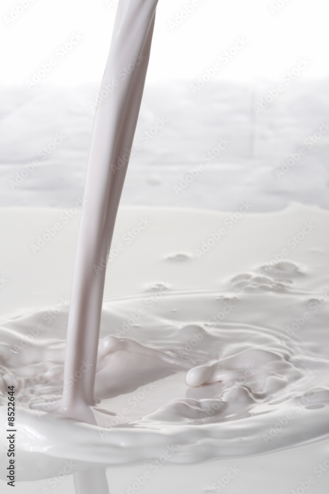 milk milk