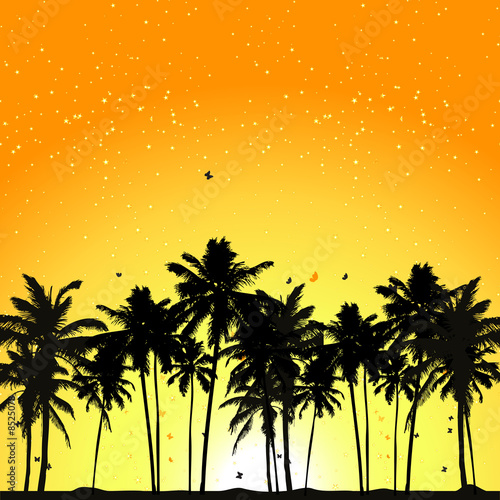 Tropical sunset, palm trees