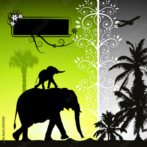 Summer holiday, elephants