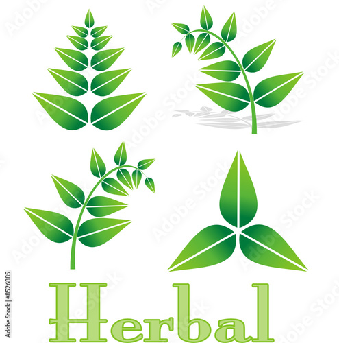 collection of nature logos and icons