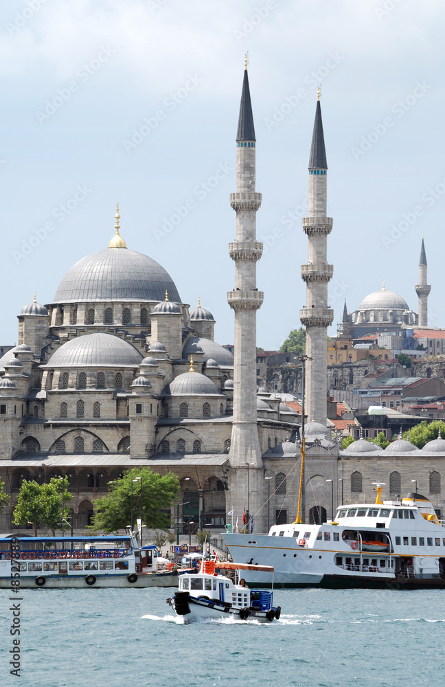 Fototapeta premium Istanbul Turkey New Mosque