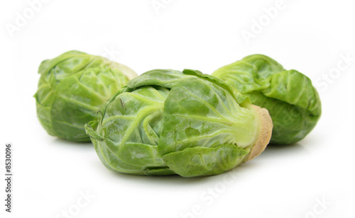 Brussels sprout small cabbage