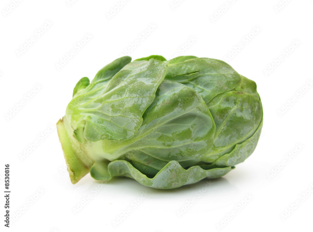 Brussel sprout small cabbage Brussel sprout small cabbage