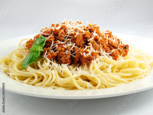 Mound of Spaghetti