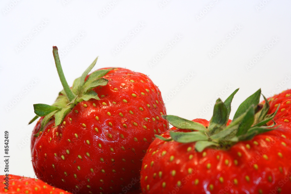 Erdbeeren Erdbeeren