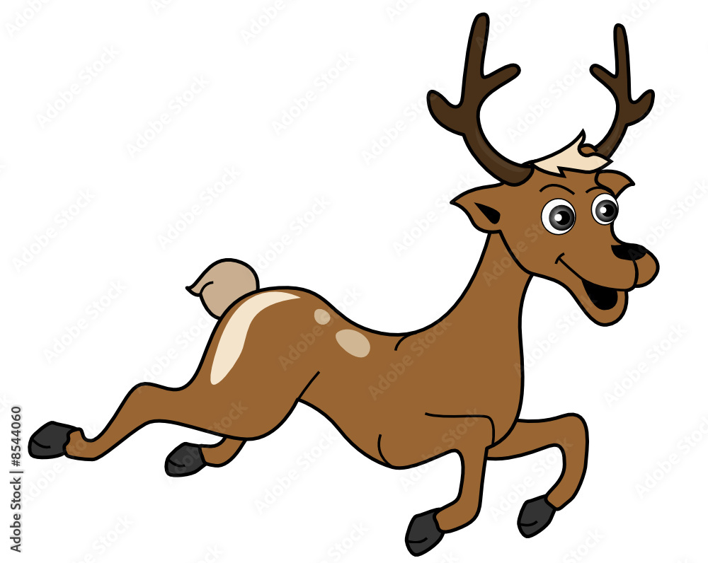 Fototapeta premium Reindeer