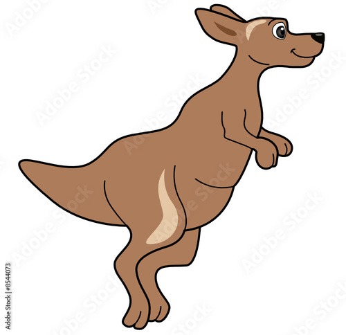 Kangaroo