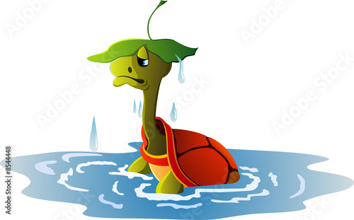 Little turtle