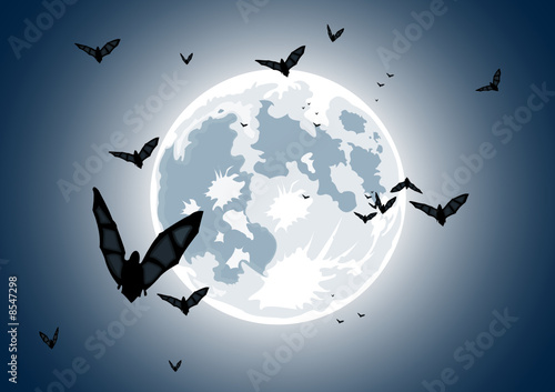 Vector illustration of realistic moon with bats