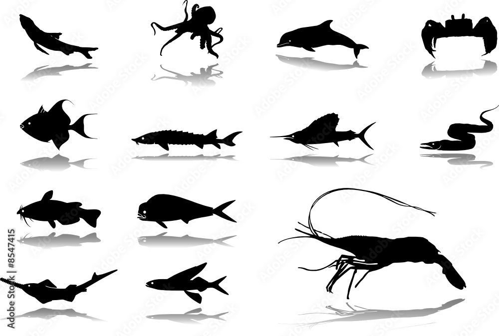 Naklejka premium Set buttons. Fish