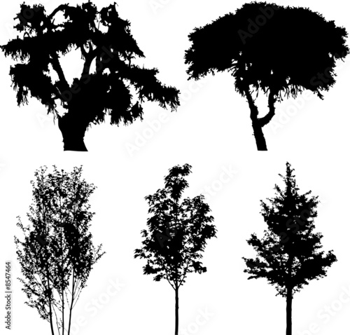 Set isolated trees. Silhouettes