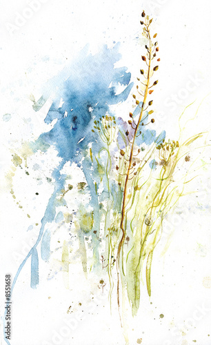 native-grasses