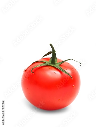 Wallpaper Mural Tomato Torontodigital.ca